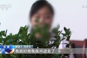 “99元水果”交个朋友？ 其实是网络诈骗换“新衣”！