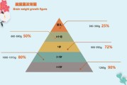 【育儿知识】中青未来早教育儿理念