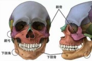 圣嘉新邱立东：面部轮廓手术不应只做骨骼层面的调整